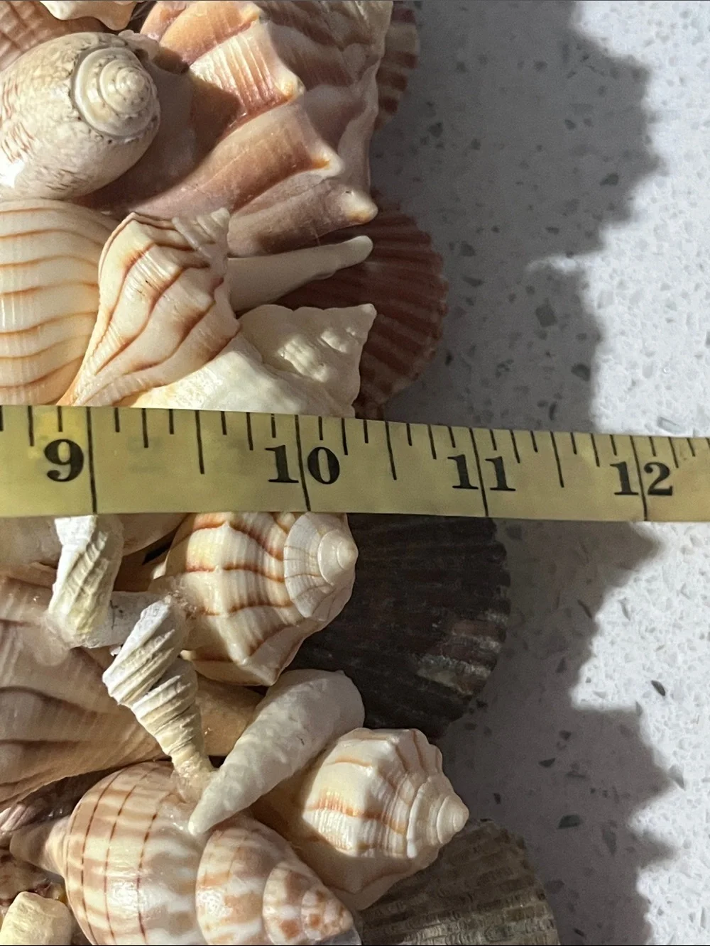Handmade Coastal Seashell “Charli’ Starfish Wall Mirror - Natural Beige Shells